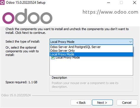 How to configure nginx . . Odoo local proxy mode